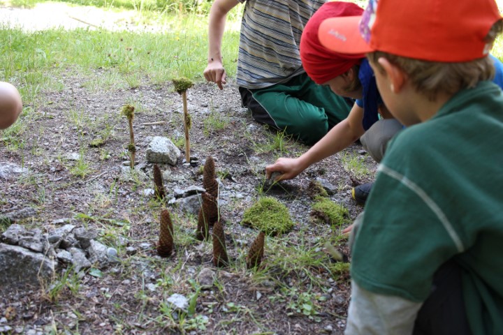Kinder bauen Miniatur-Häuser aus Waldmaterialien